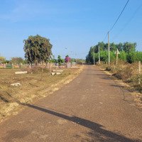 Bán Đất Vườn Đẹp, Nhiều Tiện Ích Tại Bình Giã, Châu Đức, Bà Rịa Vũng Tàu, 2,9 Tỷ, 4363 M2