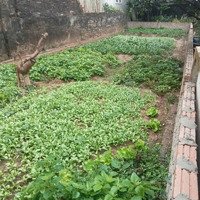 Chào Xuân Mới Bằng Siêu Phẩm Đất Tình Quang Giang Biên 42 M Ô Tô Ngủ Trong Nhà