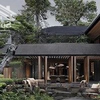 Chăm Sóc Sức Khỏe Chủ Động Với Biệt Thự Khoáng Nóng Gần Hà Nội Nhất Chỉ Từ 1 Giờ Di Chuyển