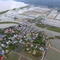 Bán Nhanh Lô Đất View Sông Vị Trí Cực Đẹp Tại Xã Phù Long - Cát Bà