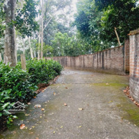 Lô Đất Nghỉ Dưỡng Bám Hồ Tại Thôn 3, Ba Trại, Ba Vì, Hn Giá Chỉ Chỉ Nhỉnh 1 Triệu/M2 Đất Thực Tế Thôi Ạ