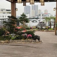 Mặt Phố Vip Phân Lô Ô Tô Tránh Kinh Doanh Xuân Quỳnh 82 M2 7 Tầng Thang Máymặt Tiền5 M 39.8 Tỷ Cầu Giấy