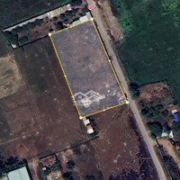 Cho Thuê Đất Lớn Hóc Môn Làm Nhà Xưởng Kho Bãi