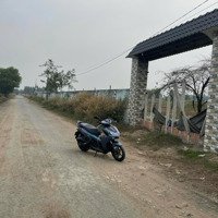 Cho Thuê Đất Lớn Hóc Môn Làm Nhà Xưởng Kho Bãi