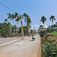 Tôi Chính Chủ Cần Bán Gấp Lô Đất Ông Cha Để Lại Do Gia Đình Có Việc Gấp Để Sử Lý Việc Gia Đình !