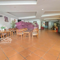 Siêu Phẩm Mp Dương Đình Nghệ 165/167 M2 12 Thông Sàn Thang Máymặt Tiền5.1 M 110 Tỷ Yên Hòa Cầu Giấy