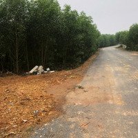 Đất Trồng Cây, Diện Tích Lớn, Đường Nhựa Trước Và Sau Đất