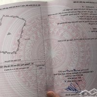Đất Trồng Cây, Diện Tích Lớn, Đường Nhựa Trước Và Sau Đất
