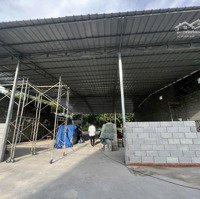 Cho Thuê Kho Xưởng Mb Mỹ Phước Tân Vạn Định Hòa Tdm Bình Dương