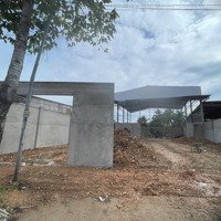 Cho Thuê Kho Xưởng Mb Mỹ Phước Tân Vạn Định Hòa Tdm Bình Dương