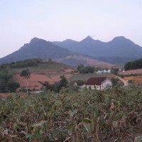 Lô Đất Nghỉ Dưỡng View Núi, Mặt Tiền 28M Bám Đường Bê Tông, Đất Vuông Vắn Đẹp Minh Quang, Ba Vì, Hn
