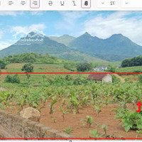 Lô Đất Nghỉ Dưỡng View Núi, Mặt Tiền 28M Bám Đường Bê Tông, Đất Vuông Vắn Đẹp Minh Quang, Ba Vì, Hn