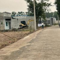 Bán Đất Sổ Riêng Thổ Cư, Đường Bê Tông, Gần Quốc Lộ 1A, Xã Sông Trầu, Trảng Bom.