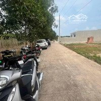 Bán Đất Sổ Riêng Thổ Cư, Đường Bê Tông, Gần Quốc Lộ 1A, Xã Sông Trầu, Trảng Bom.