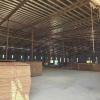 Cho Thuê Nhà Xưởng Khu Vực Bình Phước