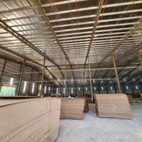 Cho Thuê Nhà Xưởng Khu Vực Bình Phước