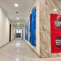 Bán Căn Hộ Đẹp Xuất Sắc Tại The Maison, Phan Bội Châu, Phú Thọ, Thủ Dầu Một Bàn Giao Quý 2/2025
