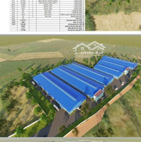 Cho Thuê Xưởng 45,000 M2 Xã Uyên Hưng, Tân Uyên