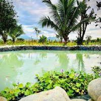 Bán Mảnh Vườn Tâm Huyết Tại Diên Khánh , Đầy Đủ Cây Ăn Trái. Diện Tích : 1000M2 Giá Chỉ 1Tỷ650