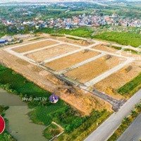 Mở Bán Giá Gốc The Greenery Hải Phòng. Vị Trí Đắc Địa Ngay Chân Cầu Nguyễn Trãi. Thanh Toán Tiến Độ