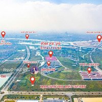 Mở Bán Giá Gốc The Greenery Hải Phòng. Vị Trí Đắc Địa Ngay Chân Cầu Nguyễn Trãi. Thanh Toán Tiến Độ