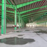 Cho Thuê Xưởng Dtd: 81.000M2 Kcn Minh Hưng