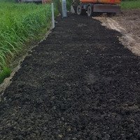 Bán Gấp Đất Trồng Cây 1000M2 Tại Xã Sơn Hà, Giá Siêu Hời 120 Triệu