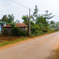 Chỉ 299 - 399 Triệu(100%) - 143M2 Đất Thổ Cư - Ngay Cao Tốc Bmt - Khánh Hòa