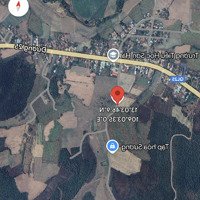 3166M2 Cách Ql25 Chỉ 180M Sơn Hoà, Phú Yên Giá Chốt Cứng Bán Nhanh 250 Triệu, Ngang 43M