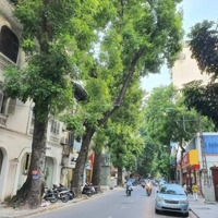 Mặt Phố Cổ Hoàn Kiếm, Ô Tô Đỗ Ngày Đêm, Mặt Tiền 4.2M, Nhà 5 Tầng Kiên Cố.