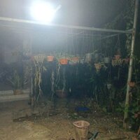 Nhà MẶT TIỀN QL.60 mới gần trạm dừng chân Sáu Nho. Cách cầu Ba Lai 2  300m. BẾN TRE..
