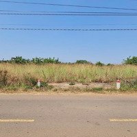 Bán Đất Ngộp 1703M2(30X50M), Full Hồng. Mặt Tiền Đường Long Giao-Bảo Bình, Cẩm Mỹ, Đồng Nai