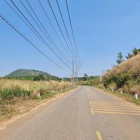 Bán Đất Ngộp 1703M2(30X50M), Full Hồng. Mặt Tiền Đường Long Giao-Bảo Bình, Cẩm Mỹ, Đồng Nai