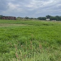 Bán Gấp Đất Thổ Cư 925M2 Tại Xã Thới Tam Thôn, Hóc Môn, Giá Cực Chất 4,95 Tỷ