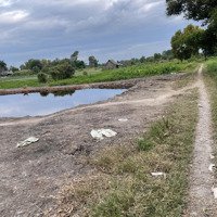 Bán Gấp Đất Thổ Cư 925M2 Tại Xã Thới Tam Thôn, Hóc Môn, Giá Cực Chất 4,95 Tỷ