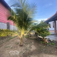 Bán Đất Dân Cư Rẻ Nhất Khu Vực Tại Đường Gò Cát 1 Thôn Tây 3 Diên Sơn - Diên Khánh Chỉ 790 Triệu