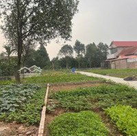 Chính Chủ Cần Tiền Bán Mảnh Đất Vân Namdiện Tích42,4M Cách Ô Tô Vài Bước Chân