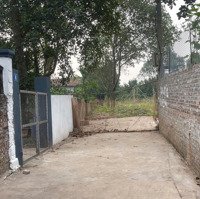 Chính Chủ Cần Tiền Bán Mảnh Đất Vân Namdiện Tích42,4M Cách Ô Tô Vài Bước Chân