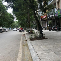 Bán Nhà Mặt Phố Ba Đình, Mặt Tiền 6M3, Lô Góc, Nhà 10 Tầng Thang Máy, Dòng Tiền Đỉnh.