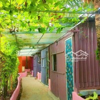 Cho Thuê Homestay 3 Triệu/Tháng, Ngắn Hạn/Dài Hạn, 20M2 Cách Vinhome 5 Phút Hot!