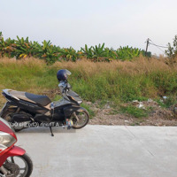 Đất Full Thổ Cưdiện Tích5X26M, Đường Xe Tải, Gần Công Viên Sinh Thái Hóc Môn