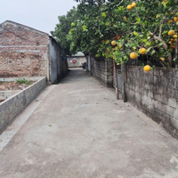 Chính Chủ Bán Mảnh Đất 82.9M2 Thị Trấn Khoái Châu Vuông Vắnmặt Tiền5.55M, Ô Tô Đỗ Cửa Giá Chỉ 1,5 Tỷ
