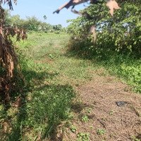 Bán Đất Xã Phước Vĩnh Andiện Tíchtừ 2522M2, Mục Đích Sử Dụng Là Hnk Và Cln.diện Tích26X97. Dân Cưng Đông Đúc