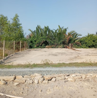 Bán Đất Đẹp Tại Rừng Sác, Cần Giờ, 3,5 Tỷ, 1056 M2 Bao Đẹp Uy Tín