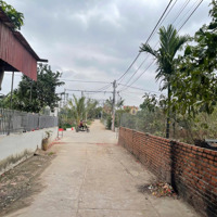 Bán Đất 112M2 Tại Xã Liên Nghĩa, Văn Giang, Hưng Yên