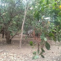 Bán 496.2M2 (150M2 Thổ Cư) Mặt Tiền 10M Đường Rộng 5M Lk Kcn Đồng Xoài 2 Và 3 Giá Bán 2.68 Tỷ