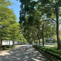 Bán Biệt Thự Khu K Ciputra, Quận Tây Hồ 140M2, Sổ Đỏ Chính Chủ