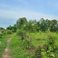 Bán Đất Nền Đẹp Tại Đường 712, Xã Tân Thuận, Hàm Thuận Nam, Bình Thuận, 2 Triệu / M2, 541.6 M2