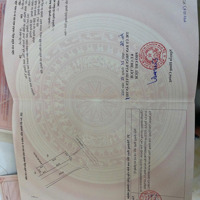 Bán Đất Đấu Giá Bắc Sơn Ân Thi, Lô Góc 162M Giá 25 Triệu/M