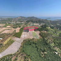 Khu Đất 10.000M2, Bán Lẻ 650 Triệuiệu/1000M2, Trung Tâm Định Quán, Đồng Nai. Xung Quanh Dân Cư Đông Đúc